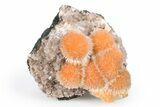 Vibrant Peach Thomsonite on Sparkling Heulandite - India #382291-1